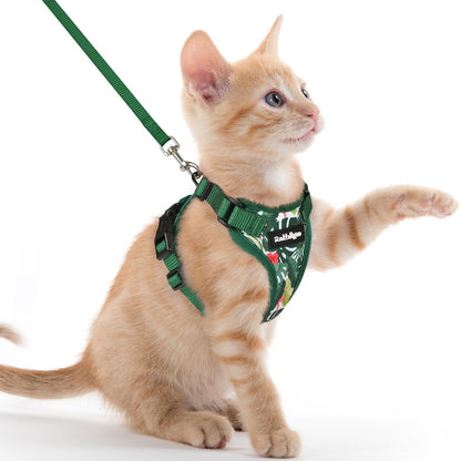 rabbitgoo Cat Harness and Leash Set, Escape Proof Vest, Emerald