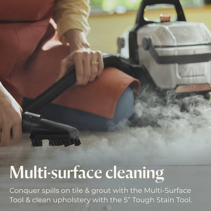 BISSELL Little Green Pet Pro Portable Carpet Cleaner, 3909