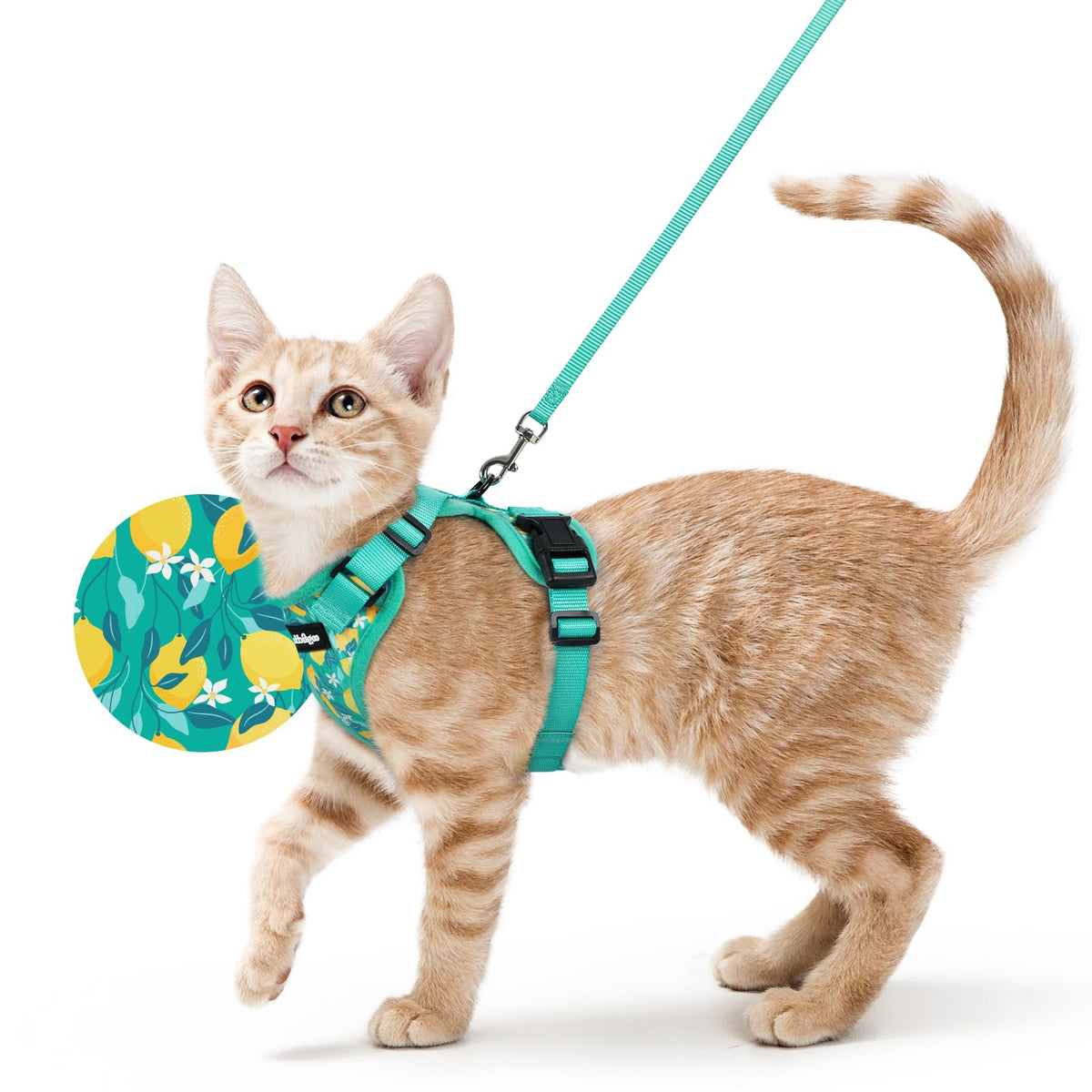 rabbitgoo Cat Harness and Leash Set, Escape Proof Vest, Emerald