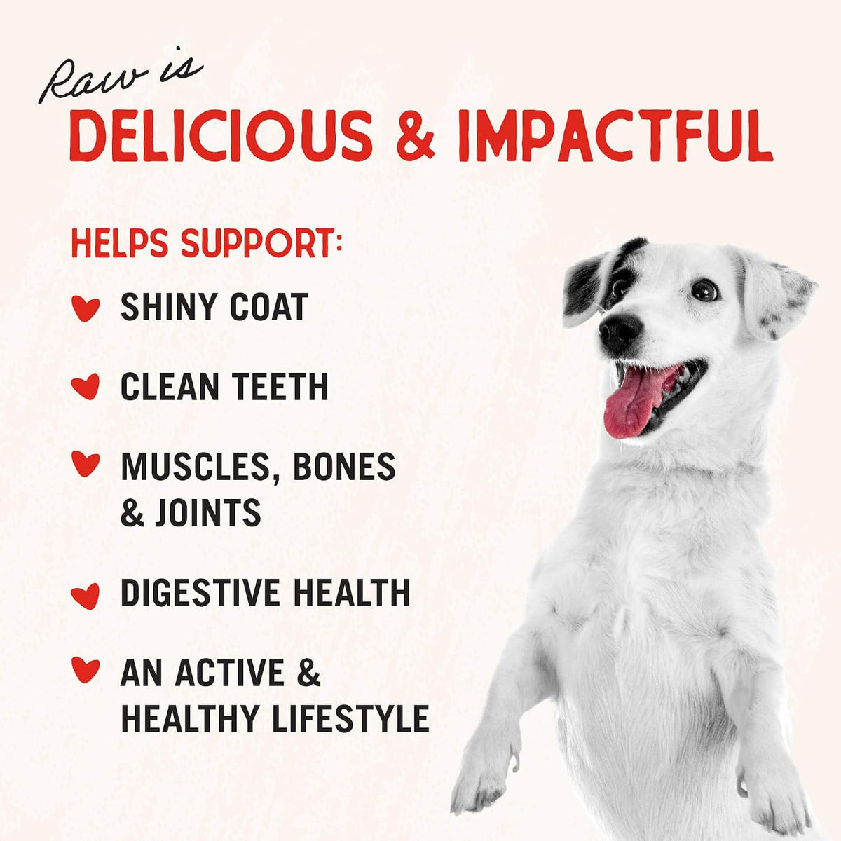 Stella & Chewy's Freeze-Dried Raw Chicken Breast Dog Treats - Single Ingredient, No Additives - Premium Training Treats - Perfect For Picky Eaters - 2.75oz Bag