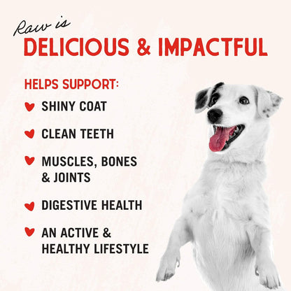 Stella & Chewy's Freeze-Dried Raw Chicken Breast Dog Treats - Single Ingredient, No Additives - Premium Training Treats - Perfect For Picky Eaters - 2.75oz Bag