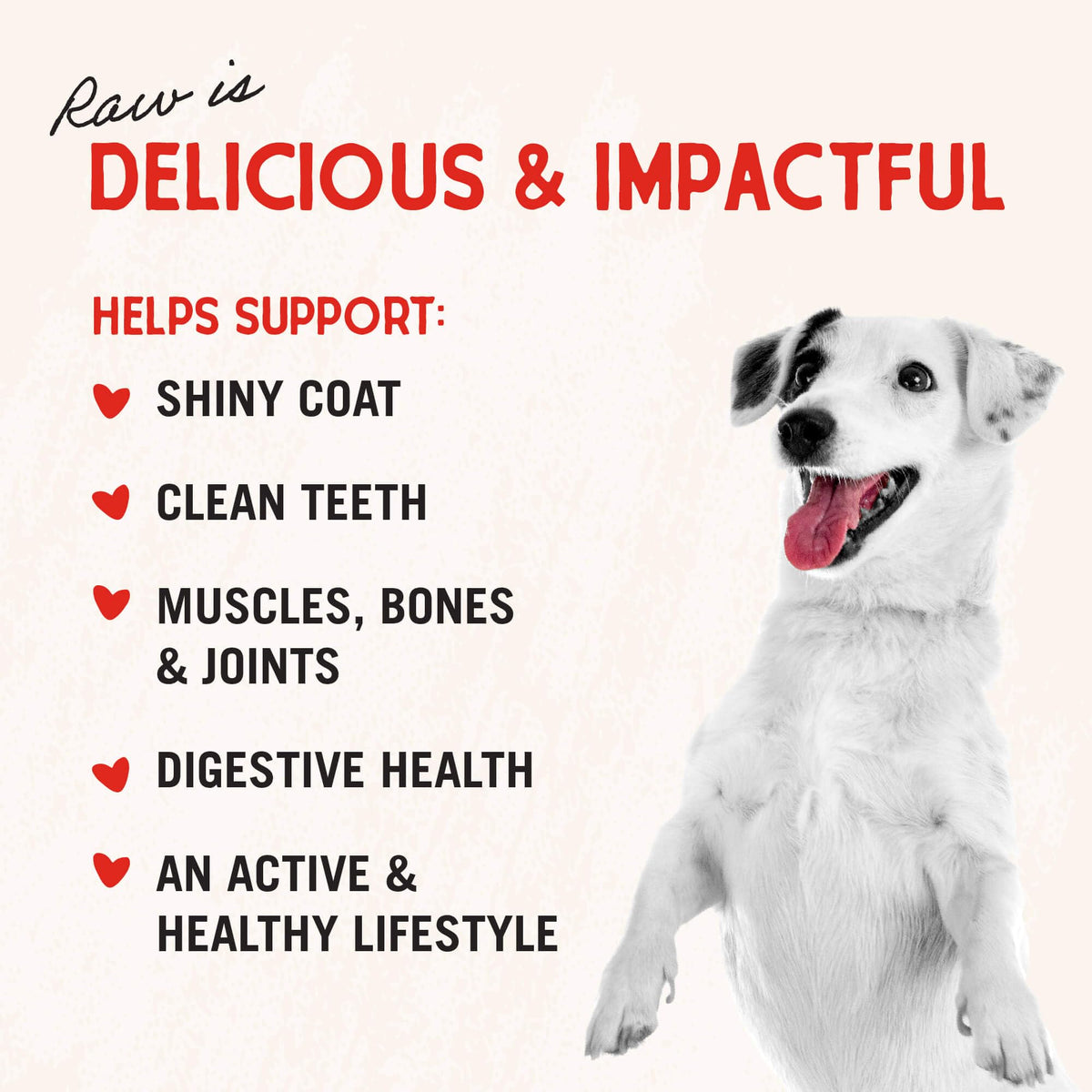 Stella & Chewy's Freeze-Dried Raw Chicken Breast Dog Treats - Single Ingredient, No Additives - Premium Training Treats - Perfect For Picky Eaters - 2.75oz Bag