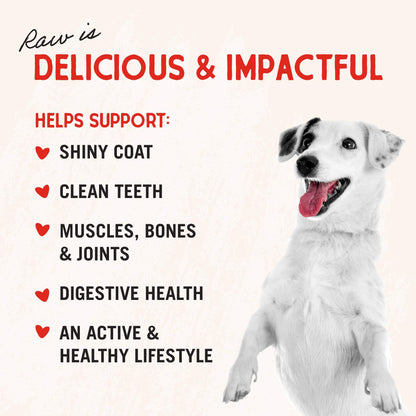 Stella & Chewy's Freeze-Dried Raw Chicken Breast Dog Treats - Single Ingredient, No Additives - Premium Training Treats - Perfect For Picky Eaters - 2.75oz Bag