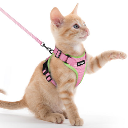 rabbitgoo Cat Harness and Leash Set, Escape Proof Vest, Emerald