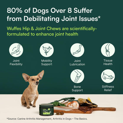 Wuffes Advanced Hip & Joint Supplement (2-Pack) - Soft Chews for Large Dogs with Glucosamine, Chondroitin, Omega 3, MSM & Green Lipped Mussel, Supports Mobility & Flexibility, 60 Pork Flavored Chews