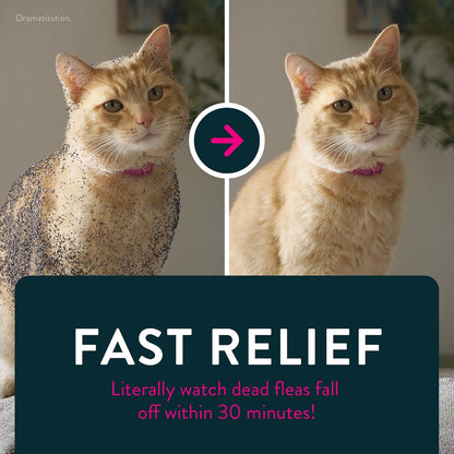 Capstar Oral Flea Tablets Cats 2-25 lbs, Nitenpyram, 6-Dose