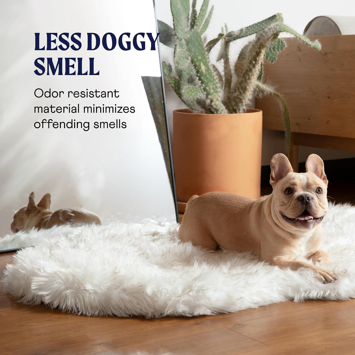 PAW BRANDS PupRug Orthopedic Memory Foam Dog Bed, White/Brown, 50x30
