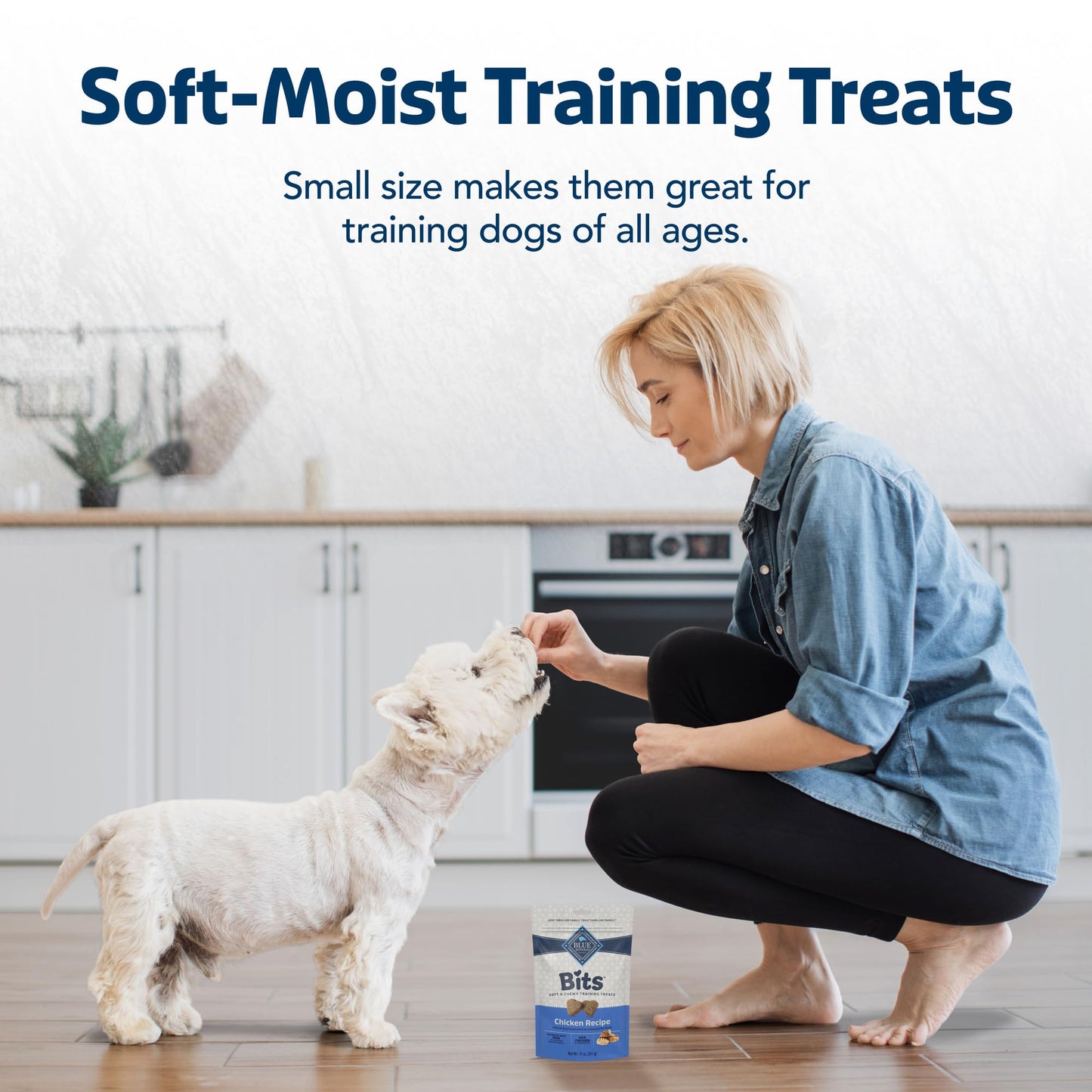 Blue Buffalo Bits Chicken Training Treats, 19 oz