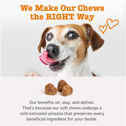 Zesty Paws Probiotics for Dogs - Gut Health Soft Chews, Pumpkin, 90 Ct