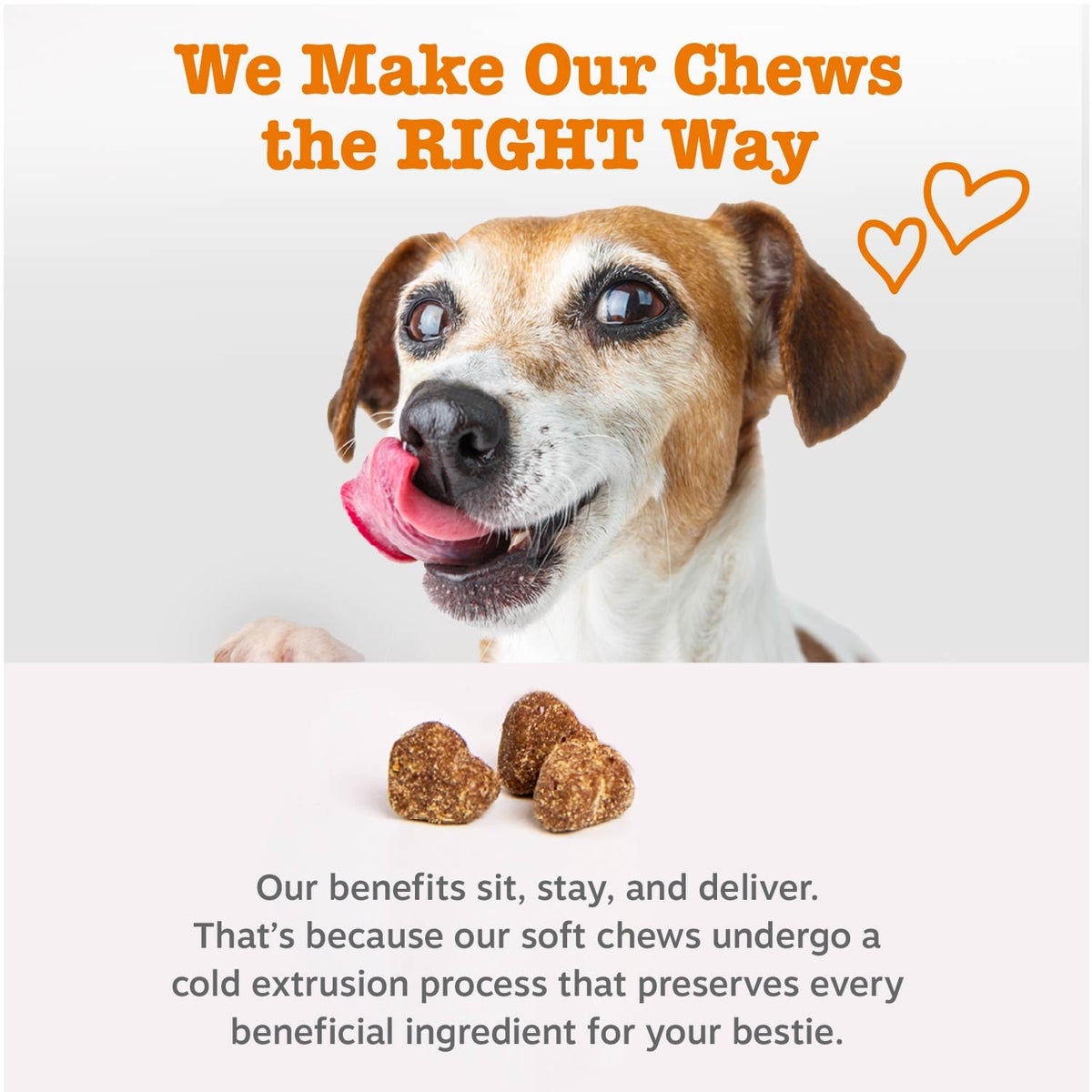 Zesty Paws Dog Vitamins - Dog Multivitamin Chews, Chicken, 90 Ct