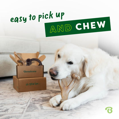 Benebone Small 4-Pack Dog Toys for Aggressive Chewers – Under 30 lbs