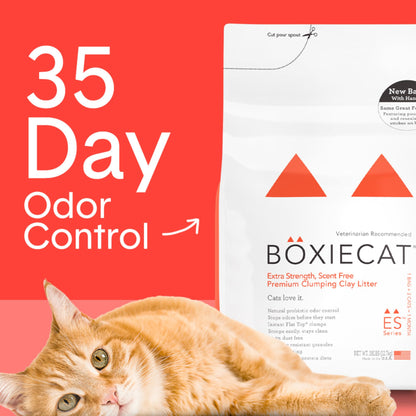 Boxie Premium Scented Clumping Cat Litter 30+ Day Odor Control 40 lb