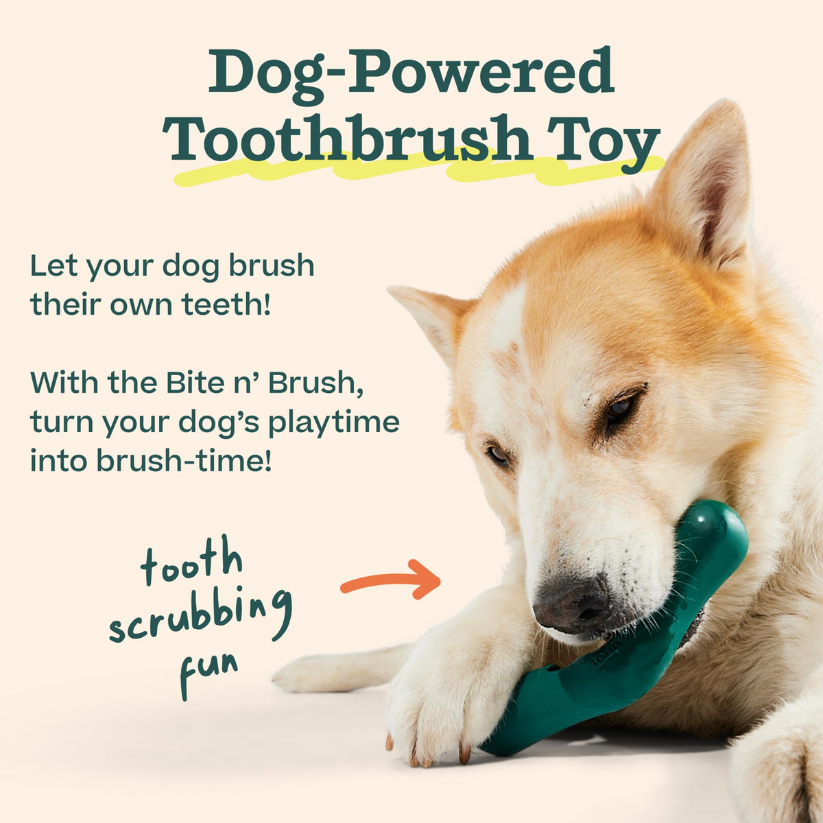 WOOF Bite n' Brush Dog Dental Sticks, Refills for Chew Toy, Chicken, 2 Pack