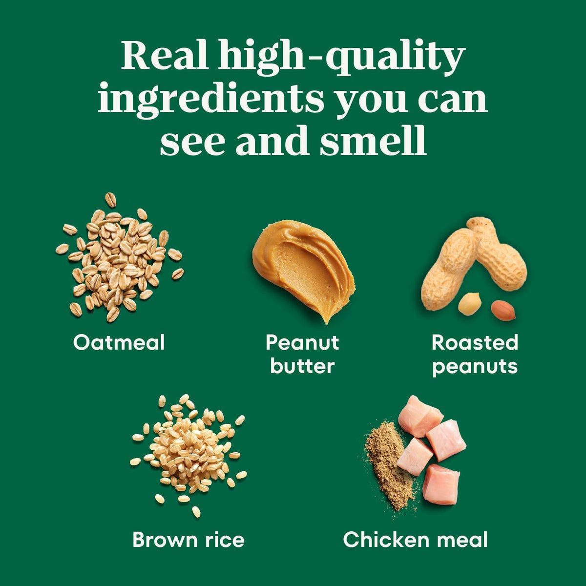 Nutro Crunchy Dog Treats with Real Peanut Butter, 10 oz