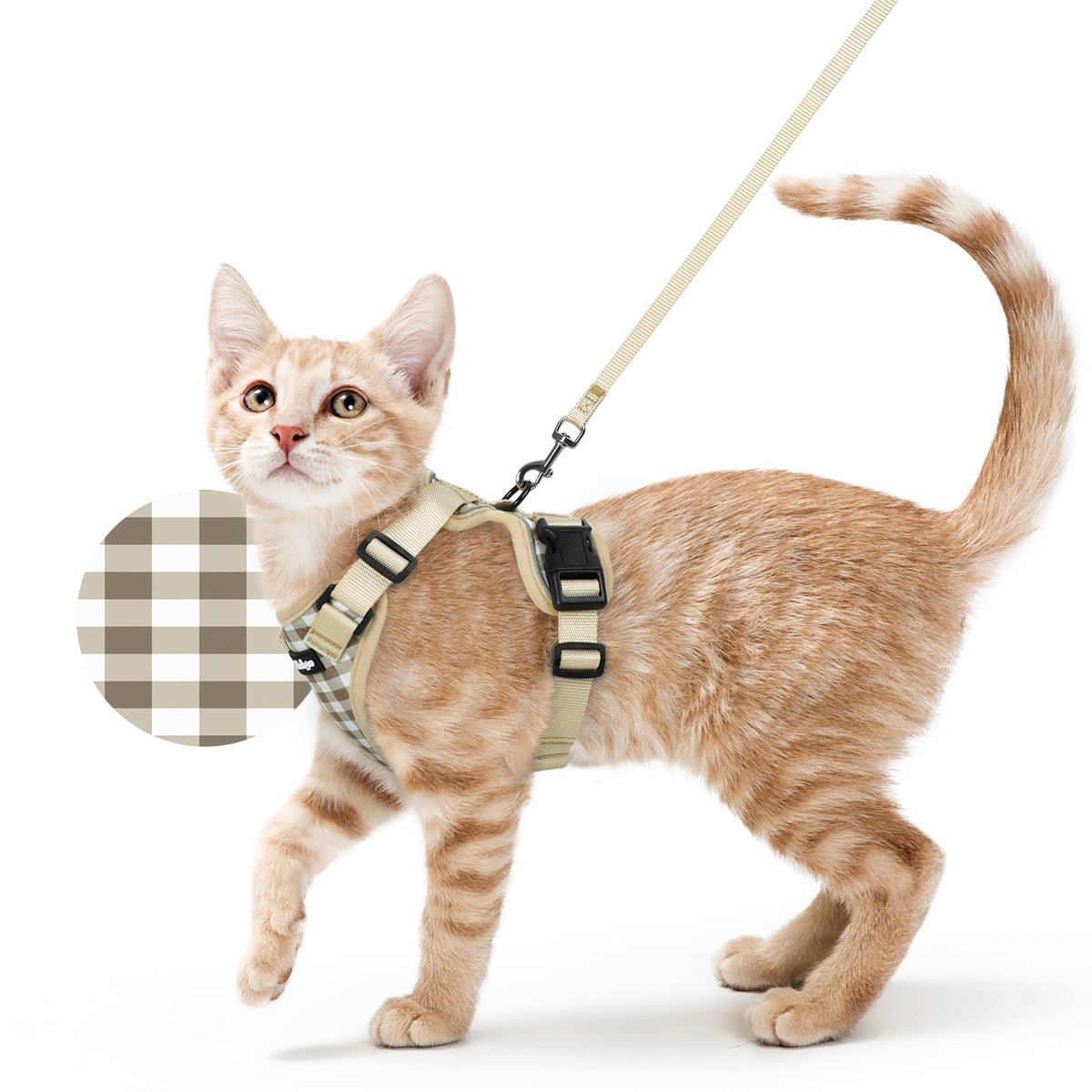 rabbitgoo Cat Harness and Leash Set, Escape Proof Vest, Black