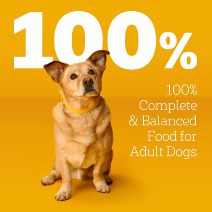 Pedigree Choice Cuts Wet Dog Food Pouch, Chicken Variety, 3.5 oz, 30 Count