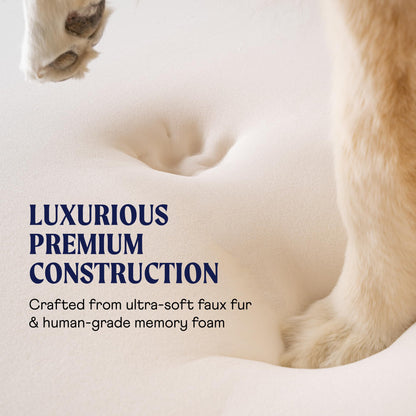 PAW BRANDS PupRug Orthopedic Memory Foam Dog Bed, White/Brown, 50x30