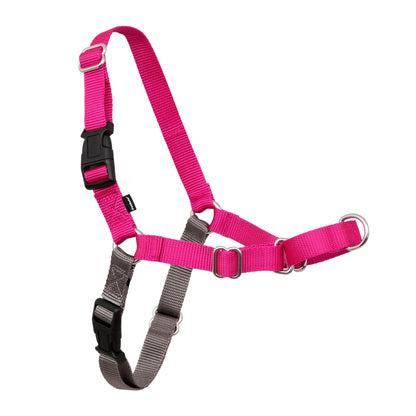 PetSafe Easy Walk Harness, No Pull Dog Harness, Raspberry, Medium/Large