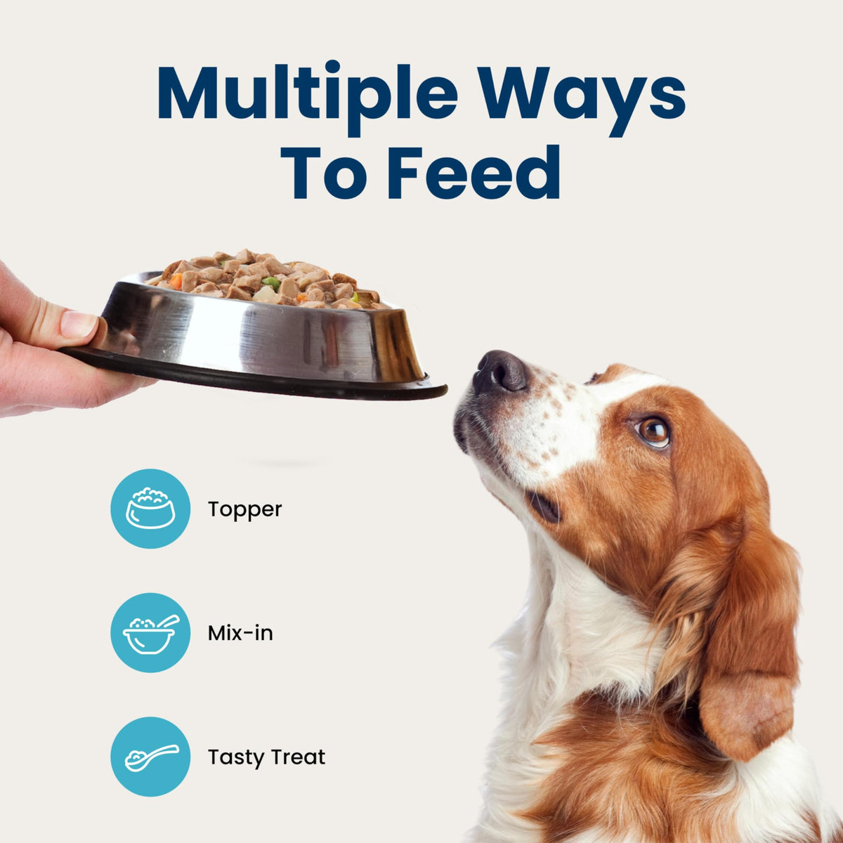 Blue Buffalo Delectables Variety Pack Dog Food Topper, 3 oz, 24 ct