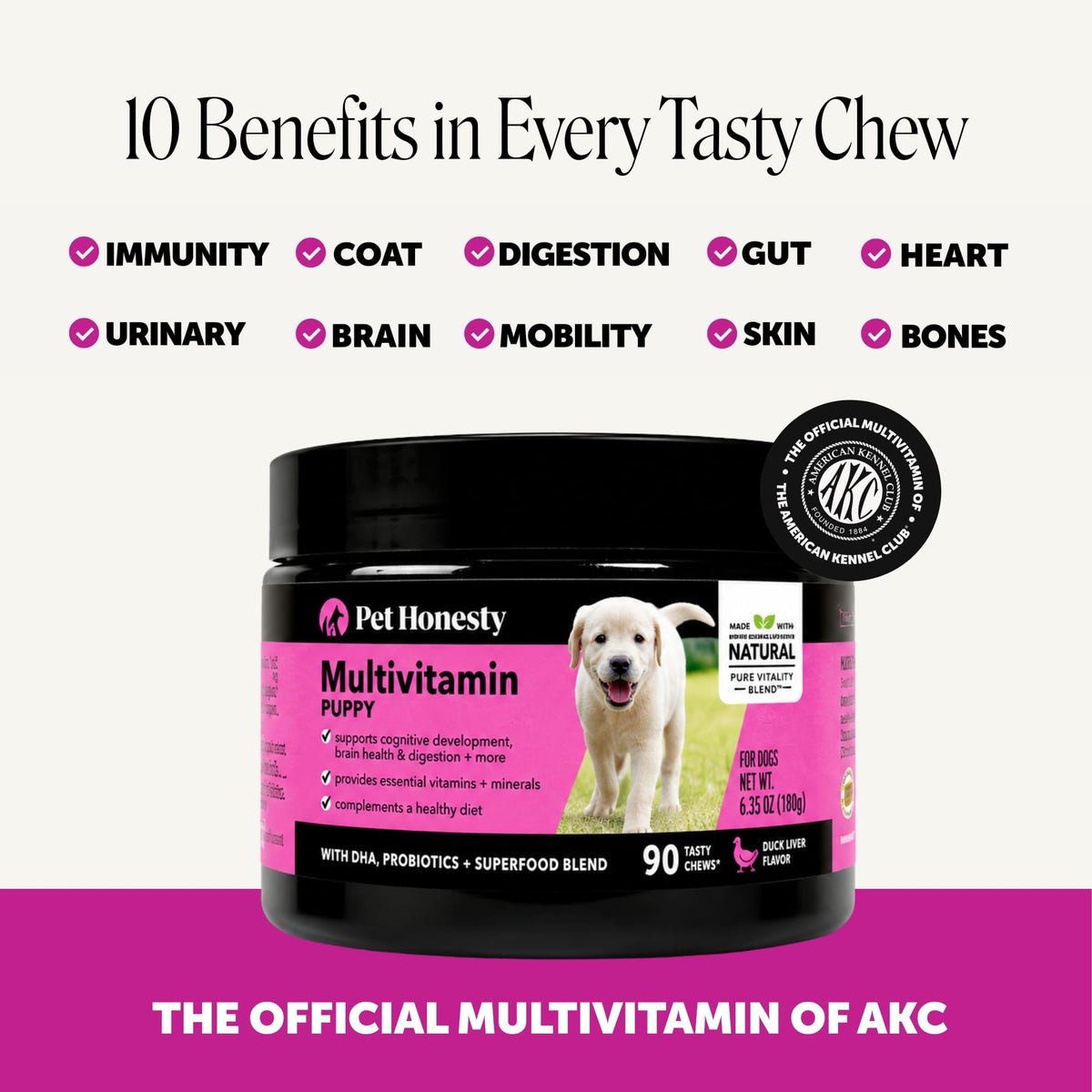 10-in-1 Dog Multivitamin Supplement with Glucosamine & Probiotics - Hip & Joint Support, Digestive Health, Immune Support, Heart & Skin - All-in-One Daily Vitamins & Omega-3s (Peanut Butter, 90 ct)