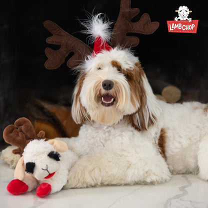 Multipet Lamb Chop Dog Plush Toy 10", Cream, 5 Squeakers