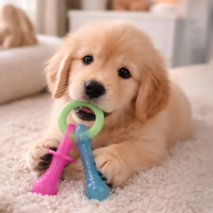 Nylabone New Puppy Starter Kit, Puppy Teething Toys, 3 Pack, Blue