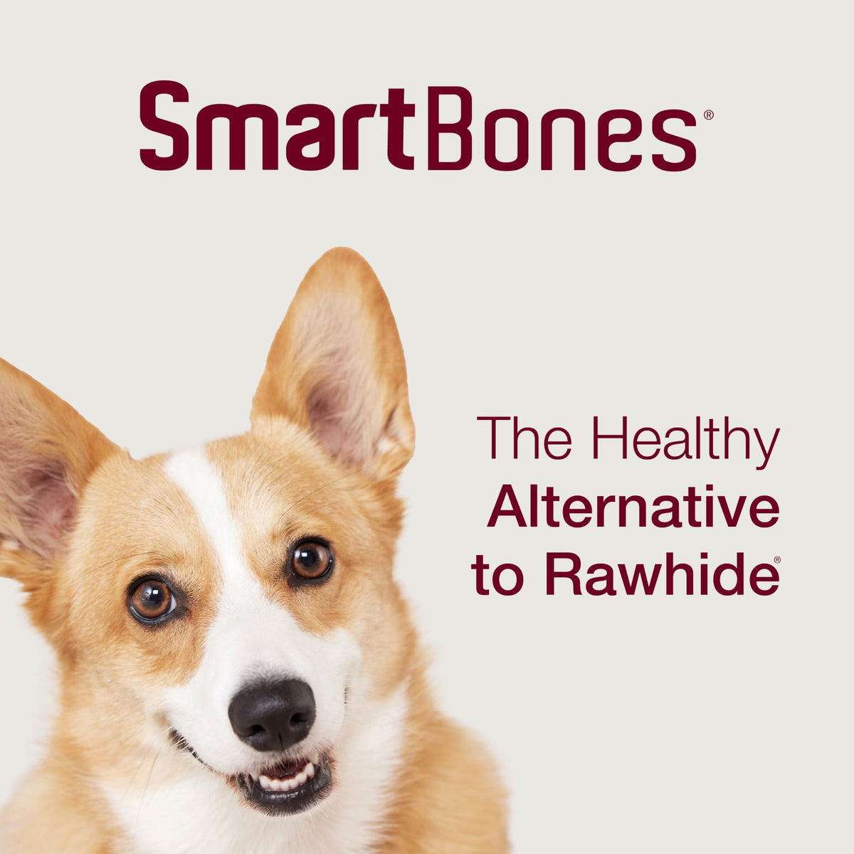 SmartBones Mini Bones with Real Peanut Butter 56 Count, Rawhide-Free Chews for Dogs