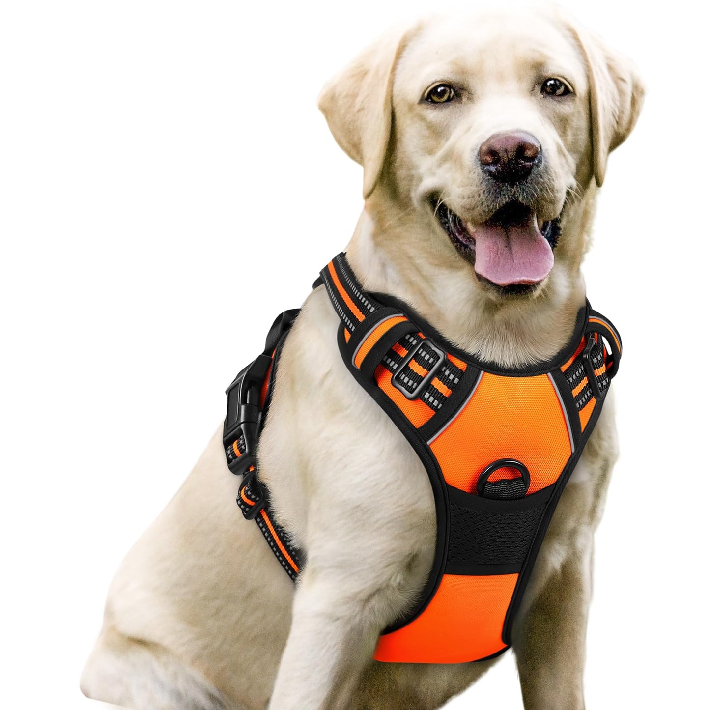 rabbitgoo Dog Harness, No Pull for Large Dogs with 2 Leash Clips, Pet Vest