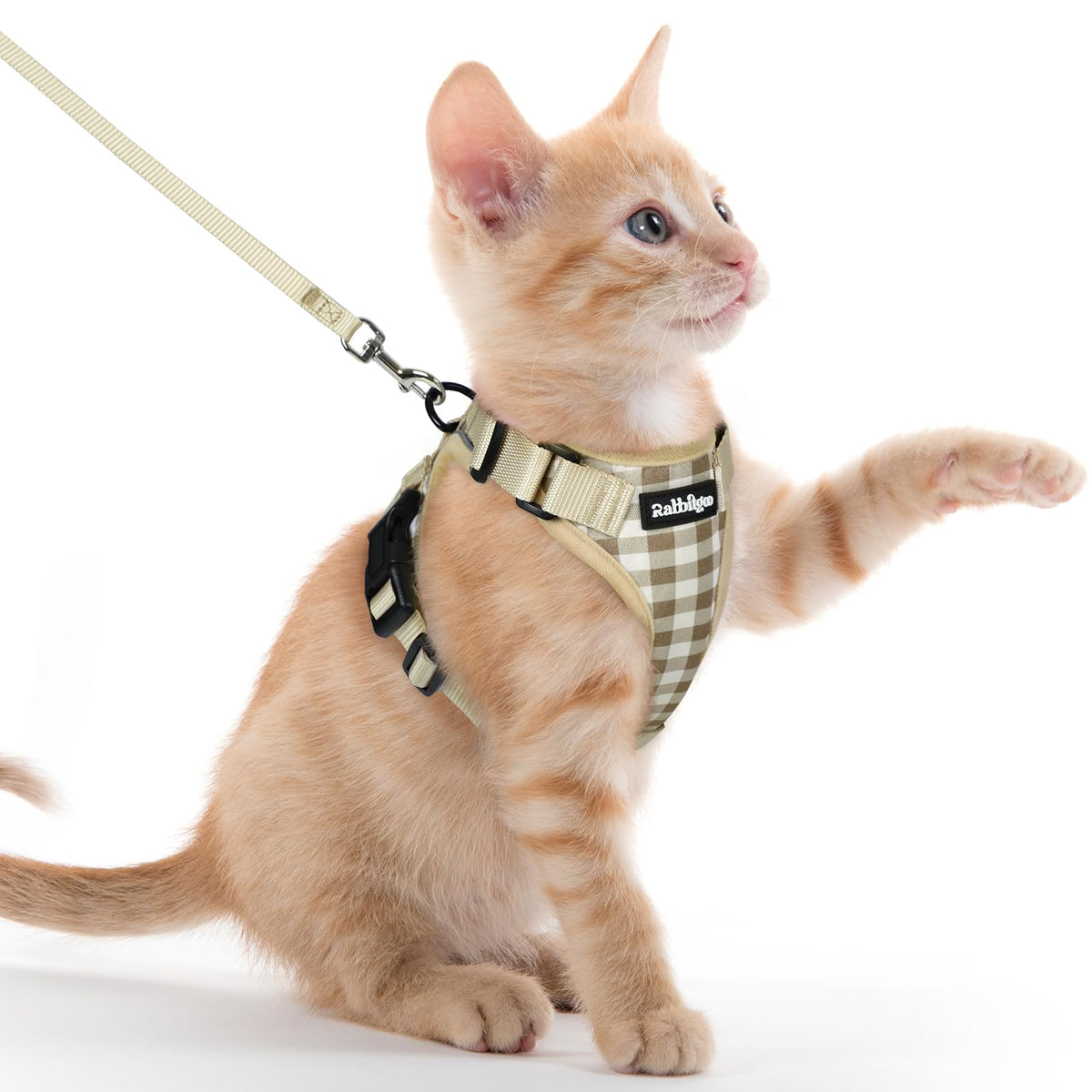 rabbitgoo Cat Harness and Leash Set, Escape Proof Vest, Emerald