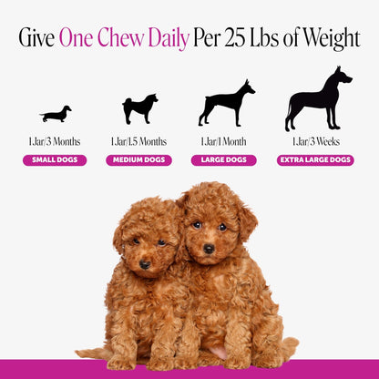 10-in-1 Dog Multivitamin Supplement with Glucosamine & Probiotics - Hip & Joint Support, Digestive Health, Immune Support, Heart & Skin - All-in-One Daily Vitamins & Omega-3s (Peanut Butter, 90 ct)