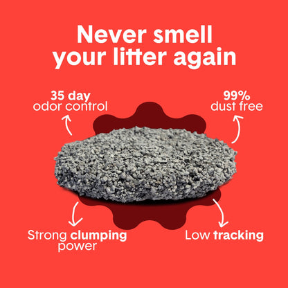 Boxie Premium Unscented Clumping Cat Litter 30+ Day Odor Control 16 lb