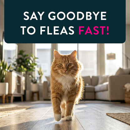 Capstar Oral Flea Tablets Cats 2-25 lbs, Nitenpyram, 6-Dose