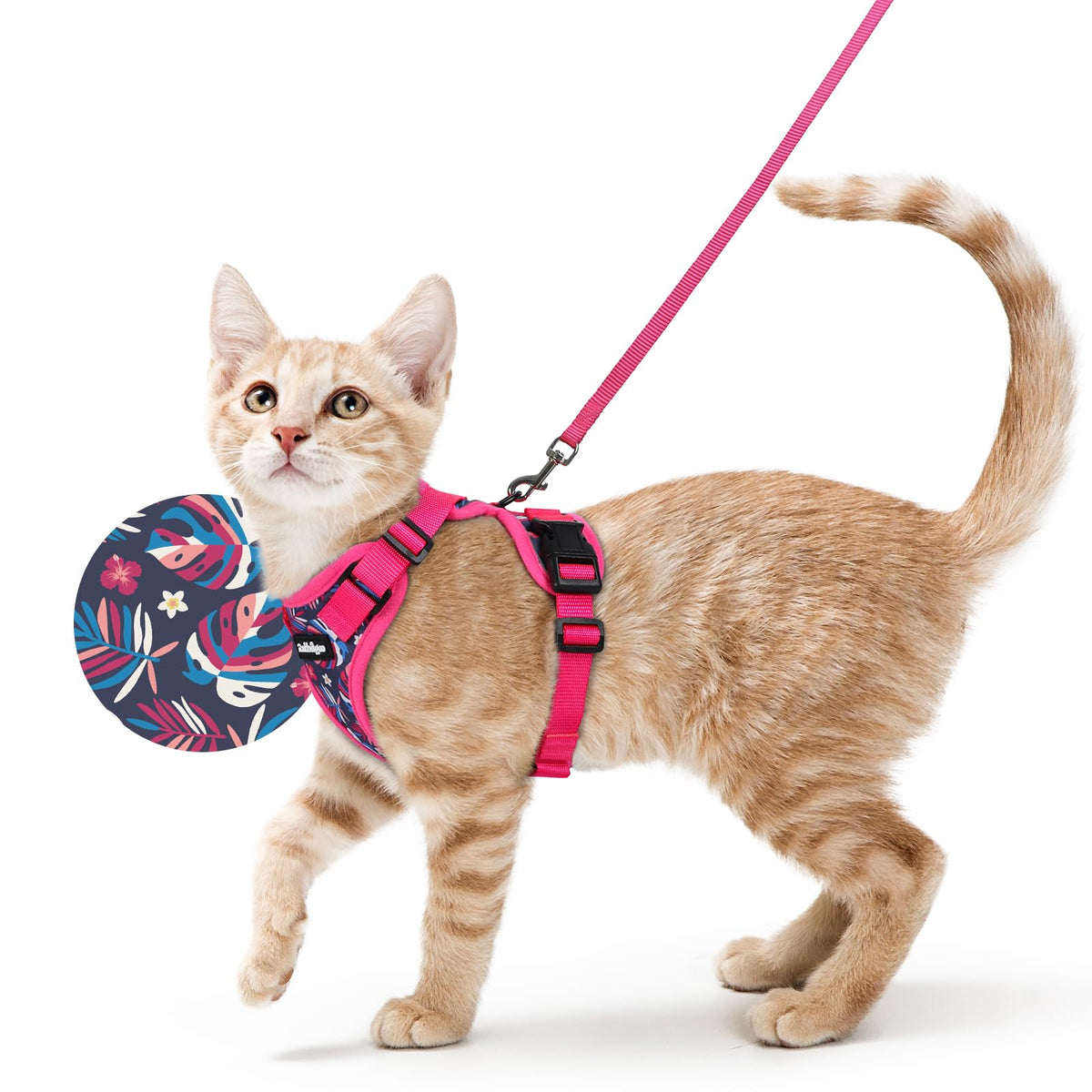 rabbitgoo Cat Harness and Leash Set, Escape Proof Vest, Emerald