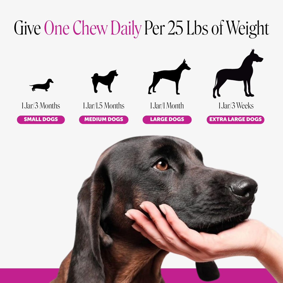 Pet Honesty Vet Recommended Puppy Multivitamin, 90 Ct, Duck