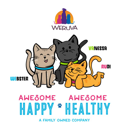 Weruva B.F.F. OMG - Best Feline Friend Oh My Gravy! Tuna & Chicken Charm Me with Tuna & Chicken in Gravy Cat Food, 3oz Pouch (Pack of 48)