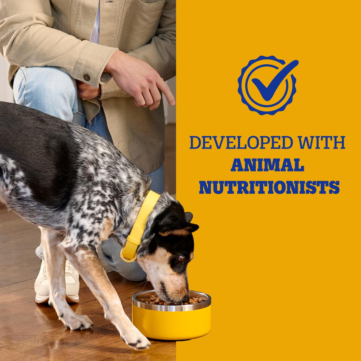 Pedigree Complete Nutrition Dry Dog Food, Steak & Vegetable, 18 lb