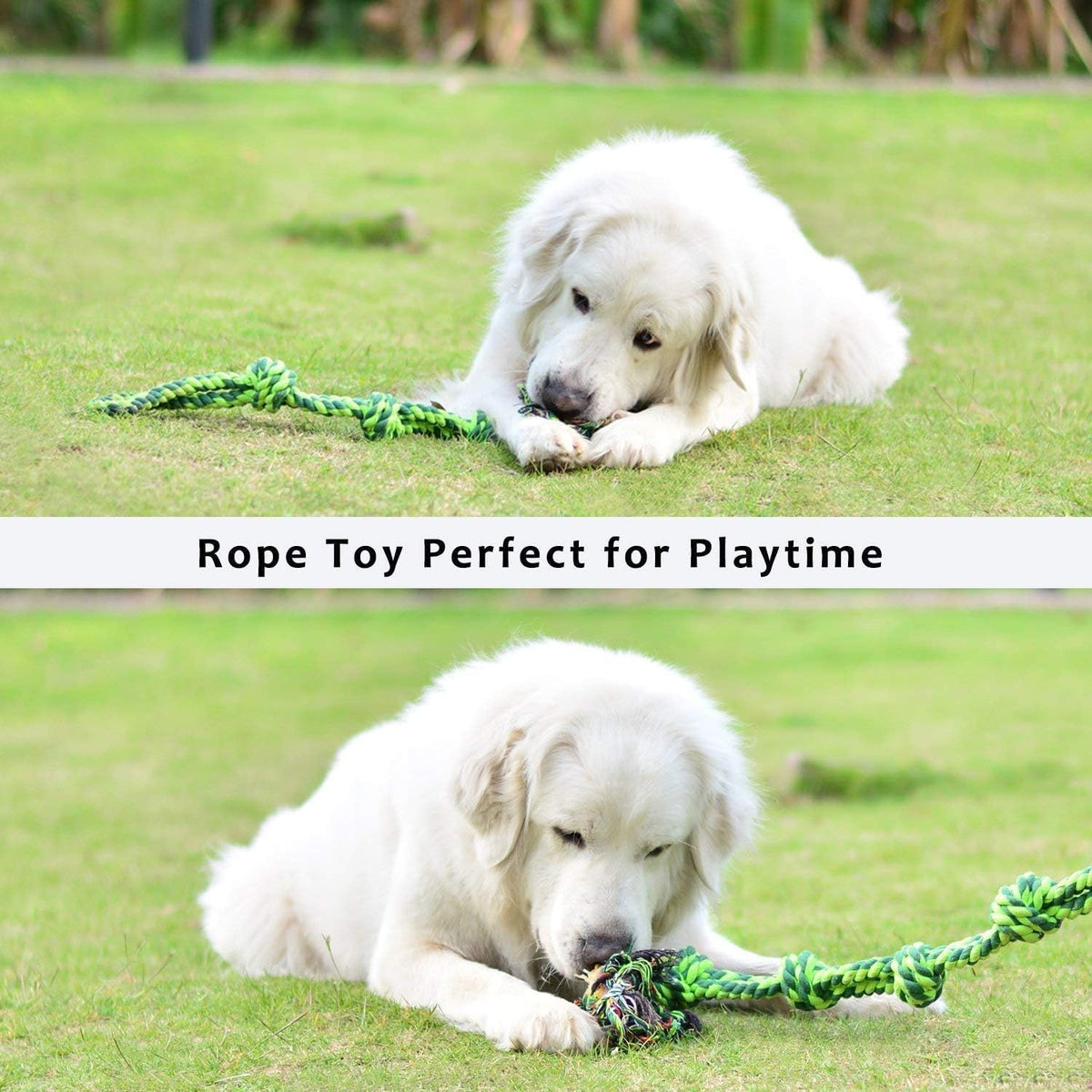 SHARLOVY Large Tough Chew Toys for Aggressive Chewers, 9 Pack Dog Rope Toys