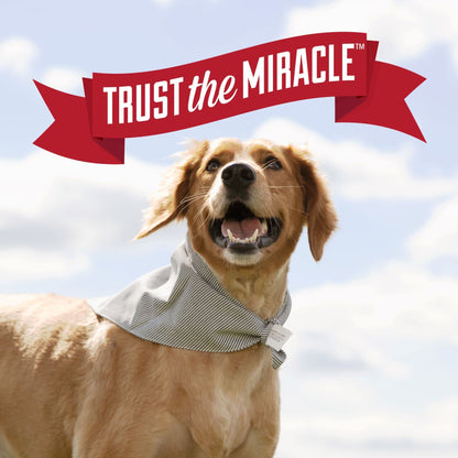 Nature's Miracle Dog Urine Destroyer Plus, Enzymatic Cleaner, 32 oz