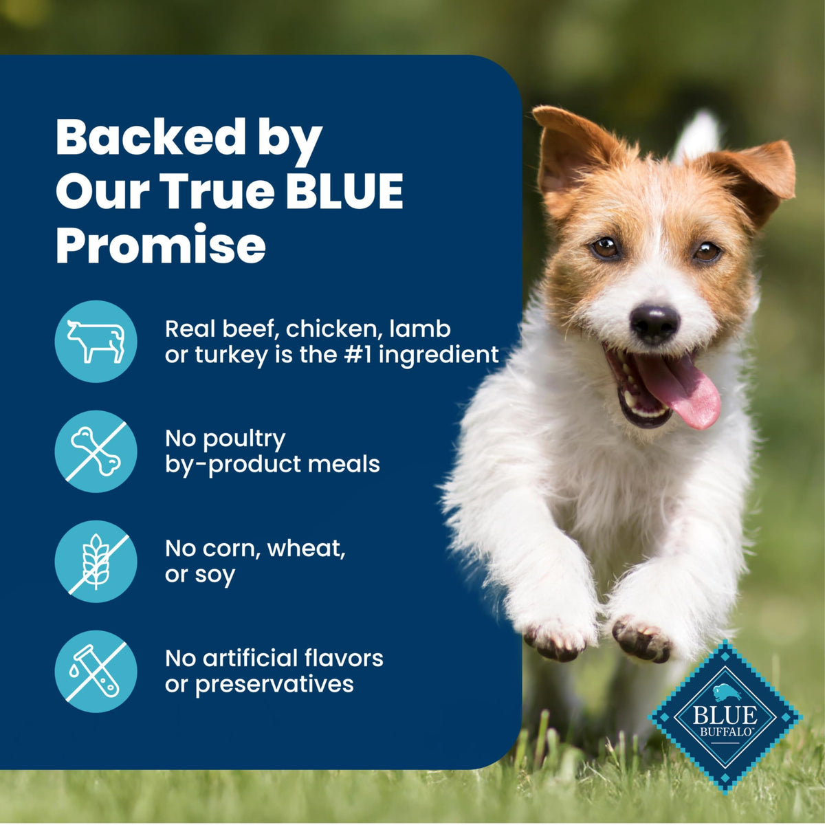 Blue Buffalo Delectables Variety Pack Dog Food Topper, 3 oz, 12 ct