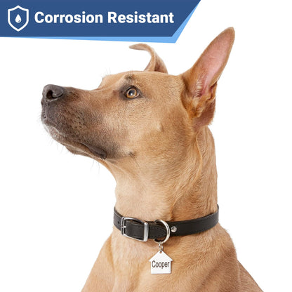 GoTags Stainless Steel Pet ID Tags, Personalized Dog Tags and Cat Tags