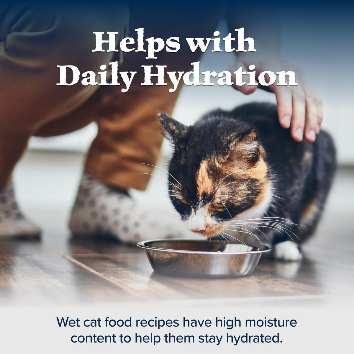 Blue Buffalo Tastefuls Wet Cat Food, Made with Natural Ingredients, Tuna and Chicken Flaked Entrées in Gravy, 3oz Cans, 4-Count Variety Pack Trial Size