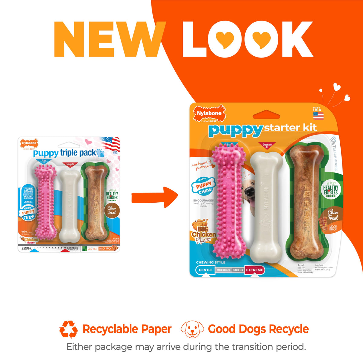 Nylabone New Puppy Starter Kit, Puppy Teething Toys, 3 Pack, Blue