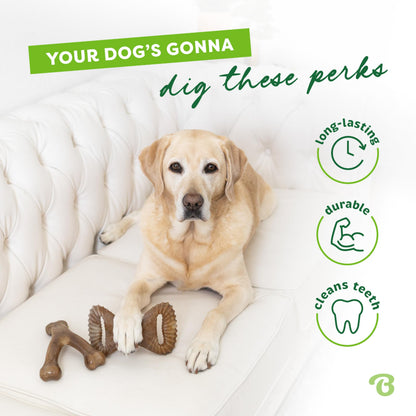 Benebone Medium 4-Pack Dog Toys for Aggressive Chewers – Under 60 lbs