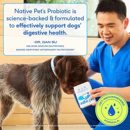 Native Pet GutWell Power Poop - Digestive Support & Fiber for Dogs - Promotes Healthy Stools, Supports Balanced Microbiome & Digestive Function - Triple-Biotic Blend & M-Fiber - 60 Scoops