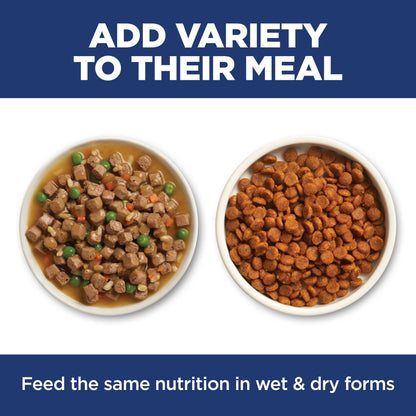 Hill's Science Diet Sensitive Stomach & Skin Dry Cat Food