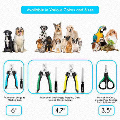 Candure Cat Nail Clippers for Indoor Cats, Rabbits, Hamsters, Birds with Precise Angled Edges to Ensure Easy & Safe Trimming Stainless Steel Cat Nail Trimmer for At-Home Cat Grooming