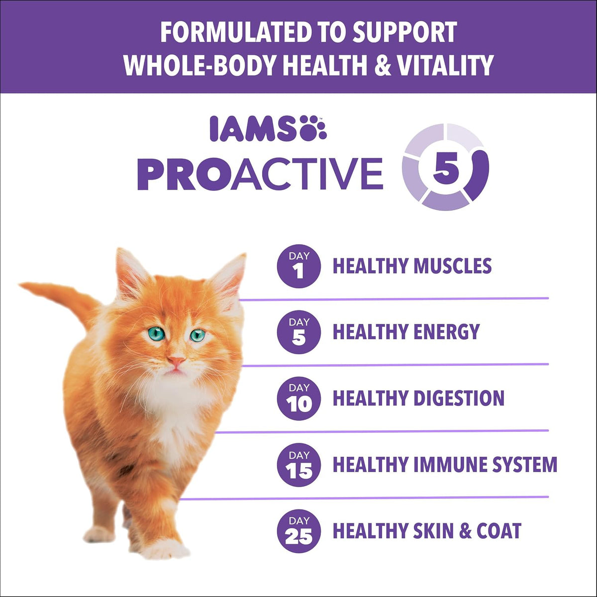 IAMS Proactive Health Healthy Kitten Dry Cat Food, Salmon, 7 lb