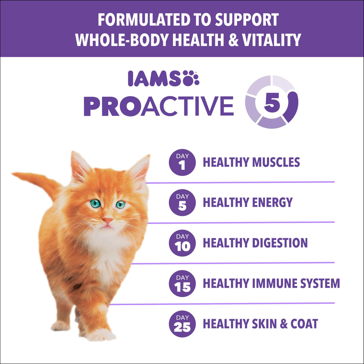 IAMS Proactive Health Healthy Kitten Dry Cat Food, Salmon, 16 lb