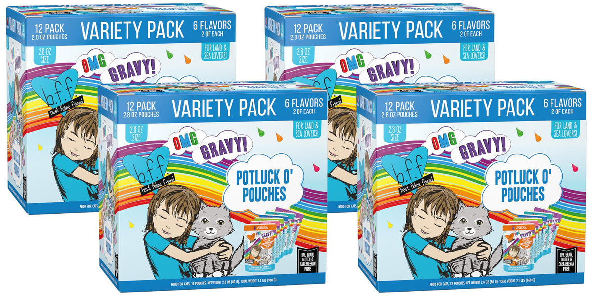 Weruva B.F.F. OMG - Best Feline Friend Oh My Gravy! Tuna & Chicken Charm Me with Tuna & Chicken in Gravy Cat Food, 3oz Pouch (Pack of 48)