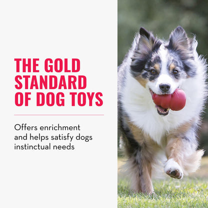 KONG Classic Stuffable Dog Toy, Natural Rubber Chew, for Large Dogs